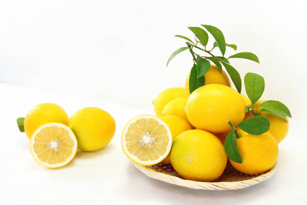 تصویر 2 از معرفی لیمو شیرین ارگانیک شیراز + بهترین قیمت خرید
